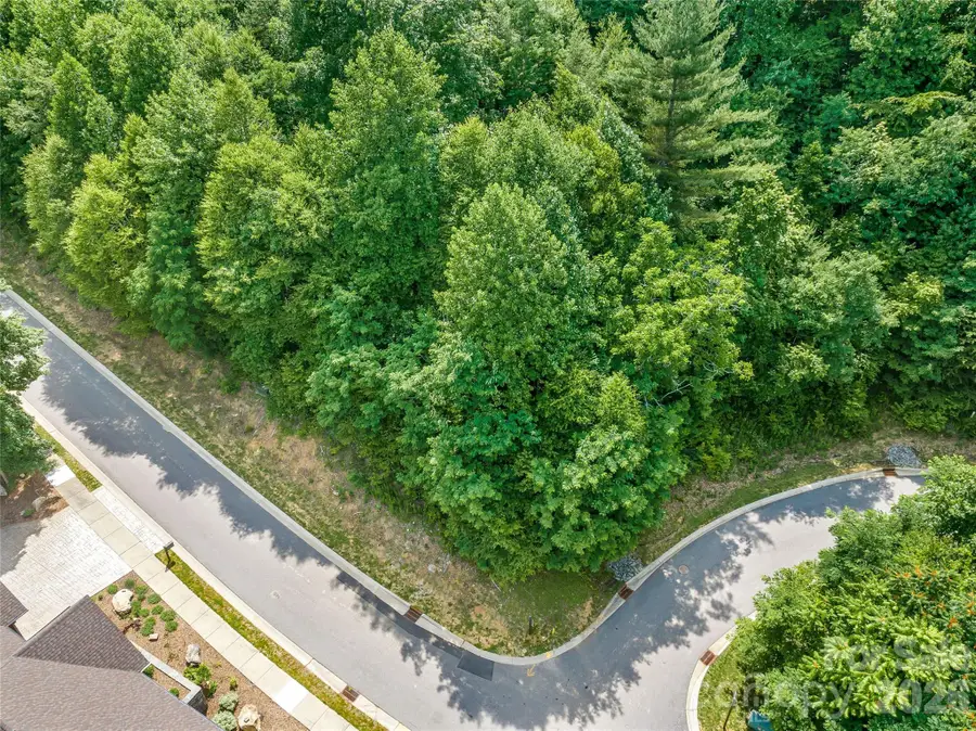 53 Old Lafayette Lane, Black Mountain, NC 28711 - #3