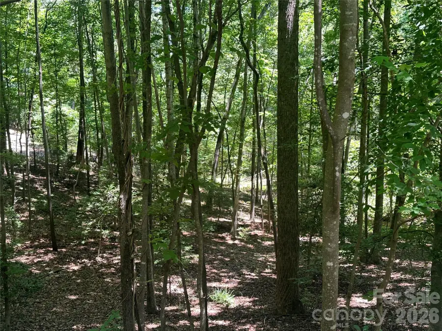 0 Knoll Court, Lake Lure, NC 28746 - #2