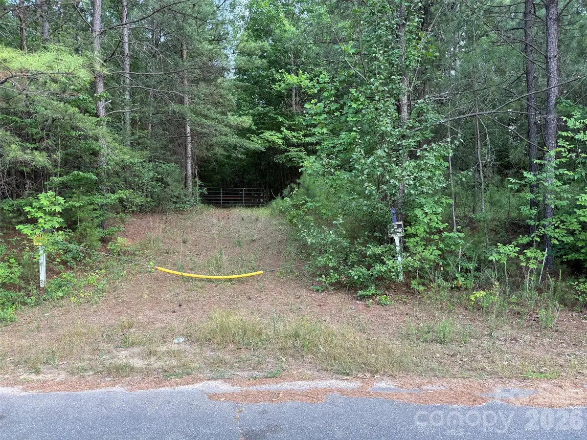 8169 Raccoon Track Drive, Sherrills Ford, NC 28673 - #1