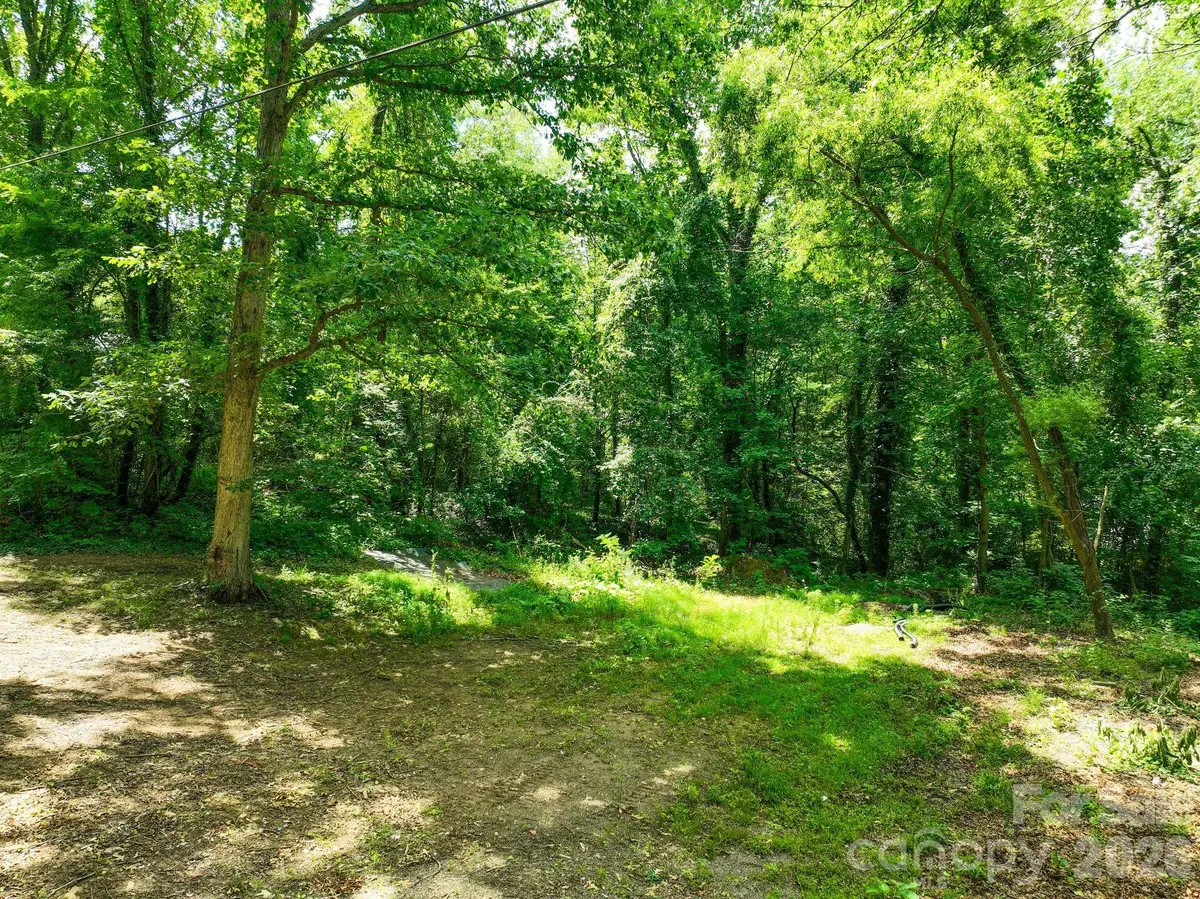 99999 Chunns Cove Road, Asheville, NC 28805 - #1
