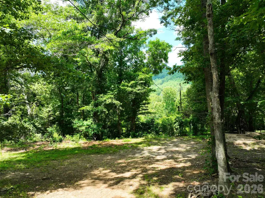 99999 Chunns Cove Road, Asheville, NC 28805 - #2