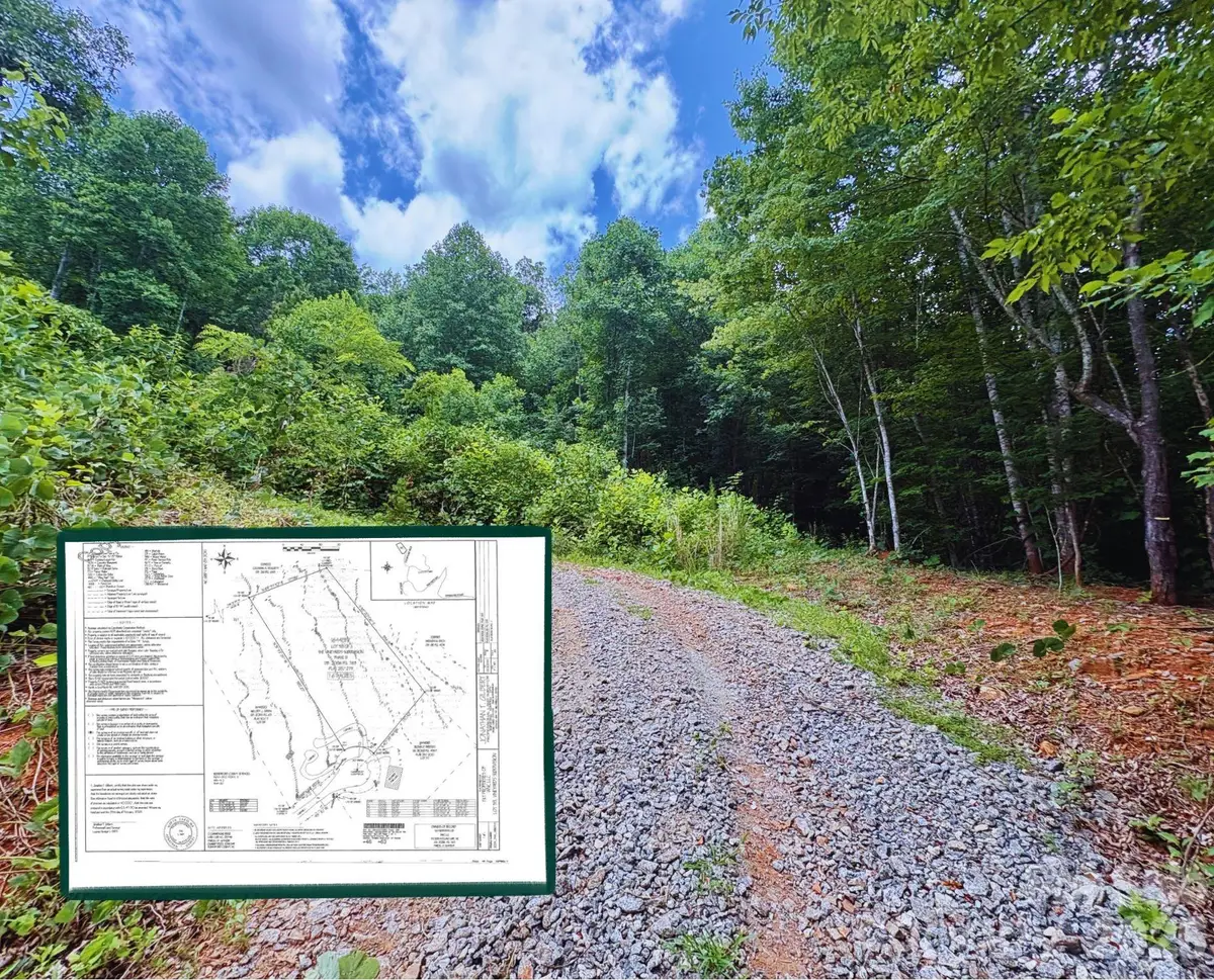 289 Champange Ridge, Lake Lure, NC 28746 - #1