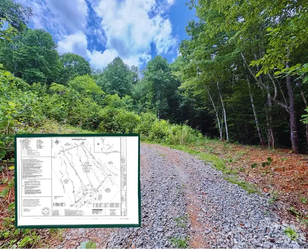 289 Champange Ridge, Lake Lure, NC 28746