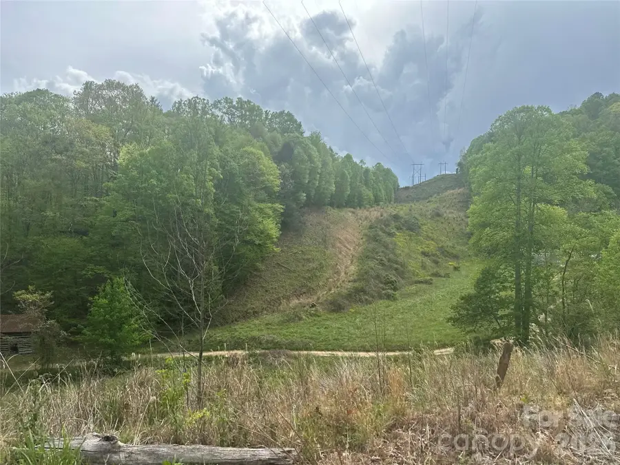 00 Mcpeters Lane, Burnsville, NC 28714 - #3
