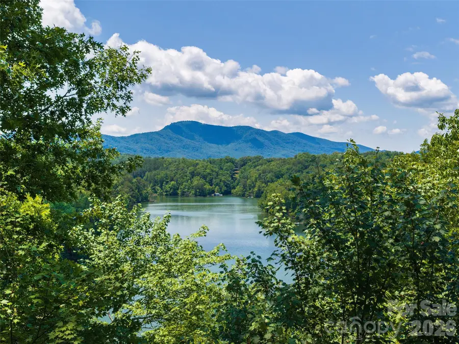 Lot 3 Loggers Pass Lane, Mill Spring, NC 28756 - #2