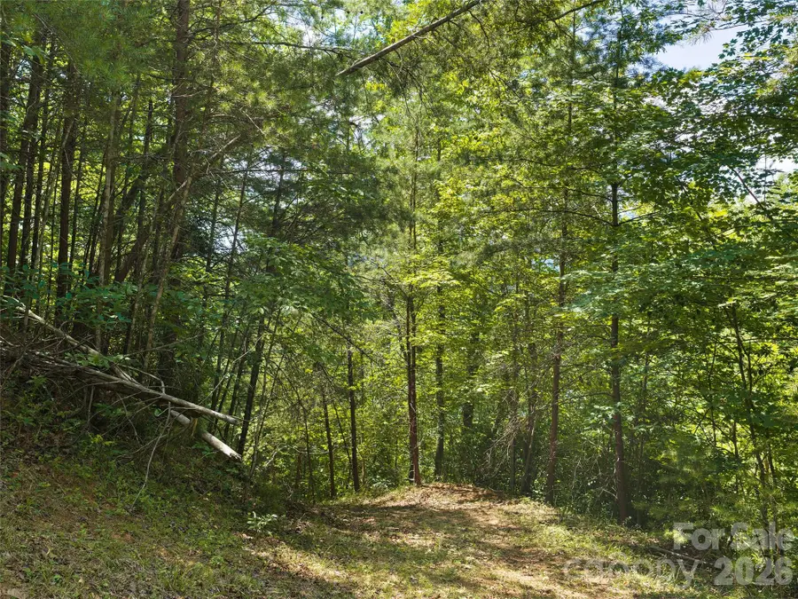 Lot 3 Loggers Pass Lane, Mill Spring, NC 28756 - #3