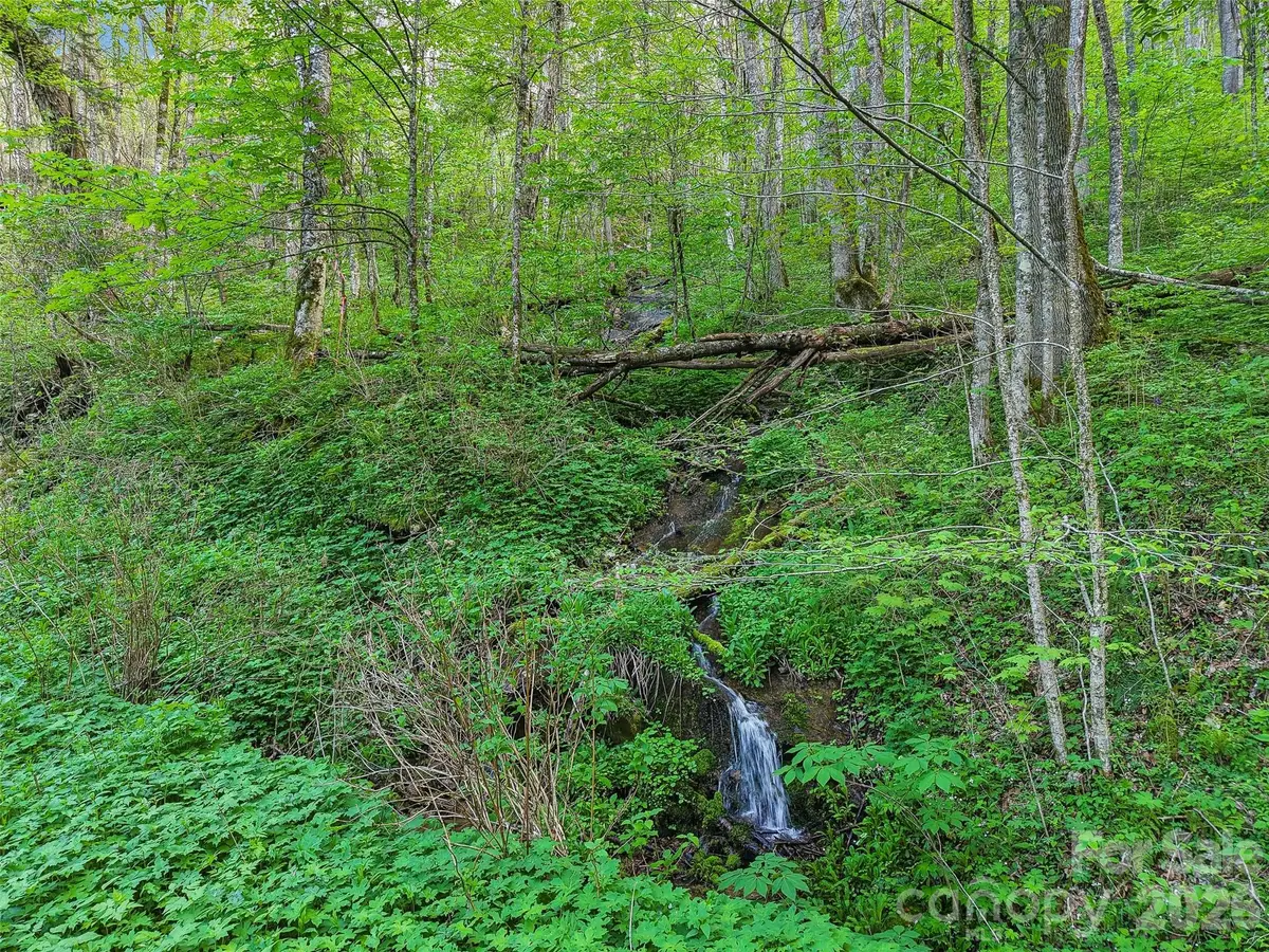 00 Star Crest Drive, Waynesville, NC 28785 - #1