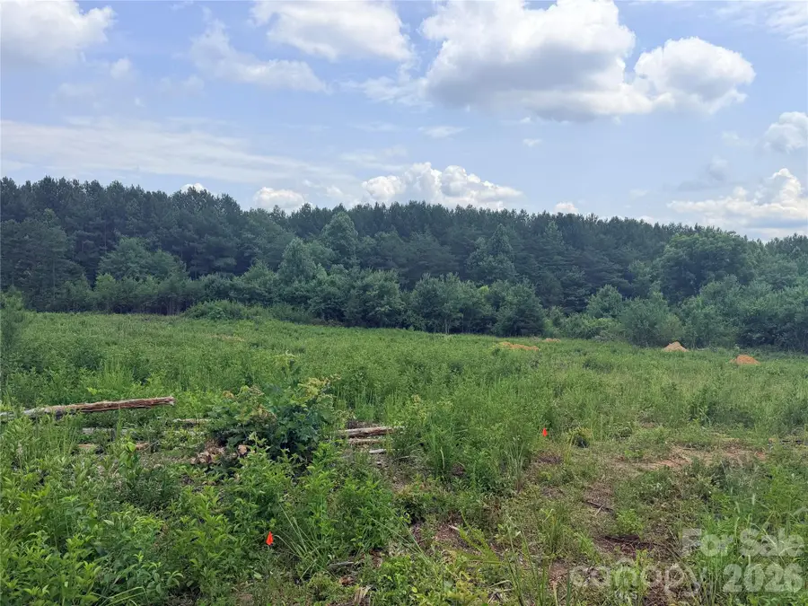 0 Doggett Grove Road #1, Forest City, NC 28043 - #3