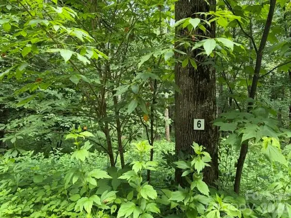 Lot 6 Gadohi Trail #6, Maggie Valley, NC 28751