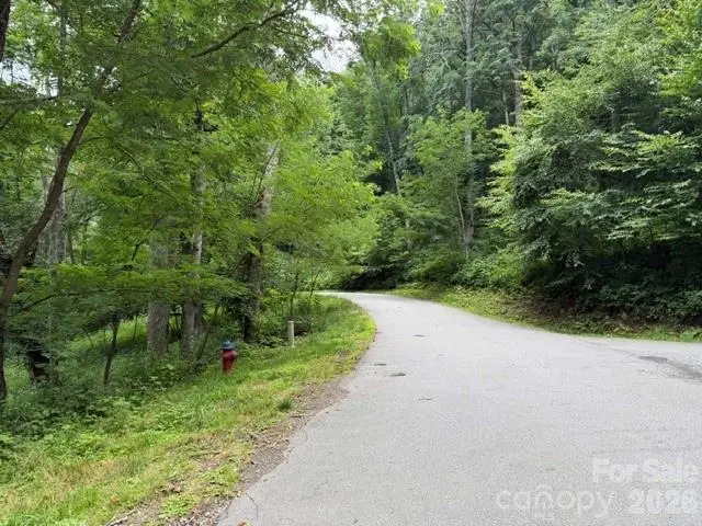 Lot 6 Gadohi Trail #6, Maggie Valley, NC 28751 - #2
