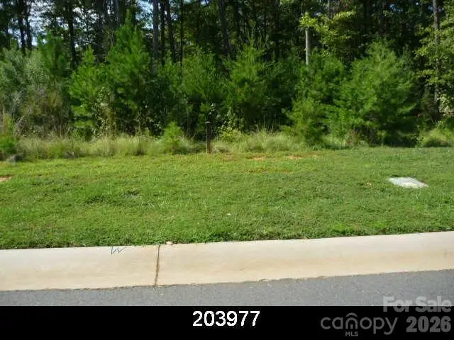 6024 Headlands Court, Belmont, NC 28012 - #1