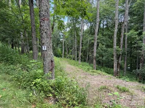 Lot 7 Gadohi Trail #7, Maggie Valley, NC 28751