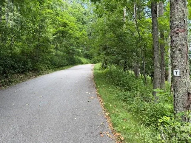 Lot 7 Gadohi Trail #7, Maggie Valley, NC 28751 - #2