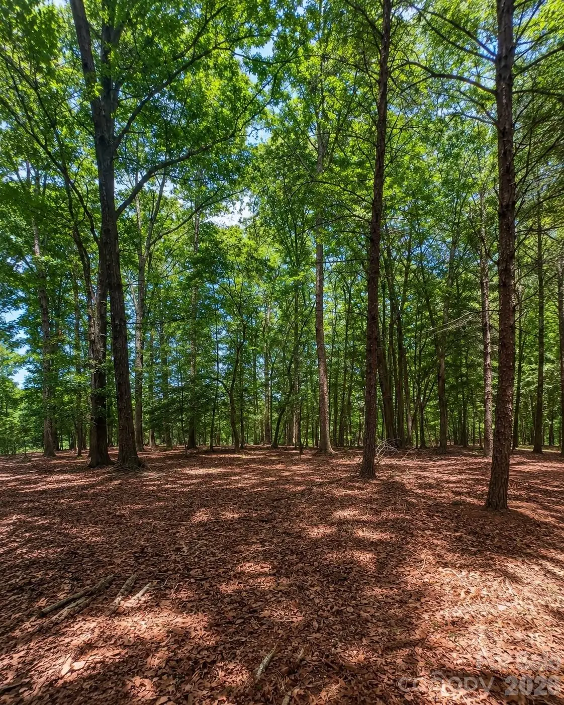 1324 Reflection Pointe Boulevard, Belmont, NC 28012 - #1