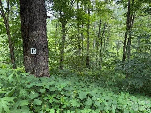 Lot 16 Iga Trail #16, Maggie Valley, NC 28751 - #1