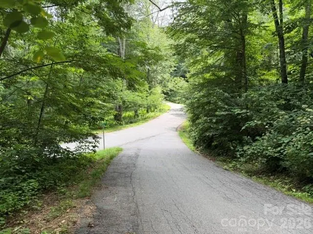 Lot 16 Iga Trail #16, Maggie Valley, NC 28751 - #2