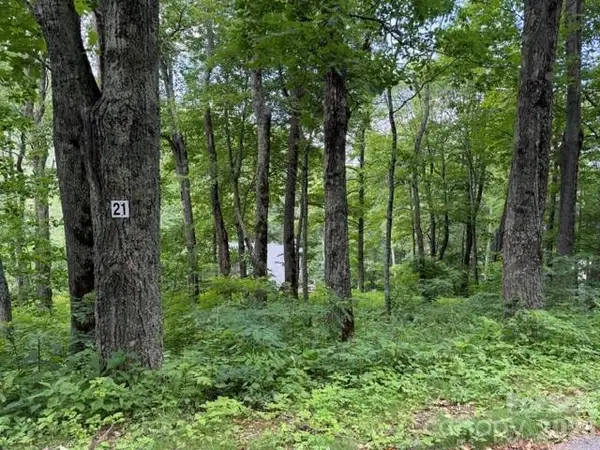 Lot 21 Odalu Trail #21, Maggie Valley, NC 28751