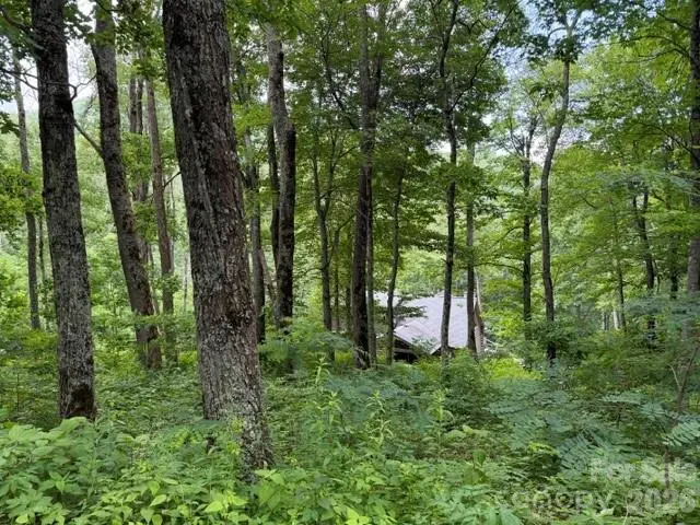 Lot 21 Odalu Trail #21, Maggie Valley, NC 28751 - #3