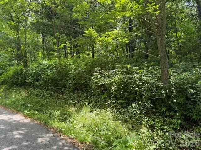 Lot 33 Toi Trail #33, Maggie Valley, NC 28751 - #2