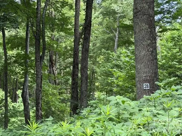 Lot 28 Toi Trail #28, Maggie Valley, NC 28751