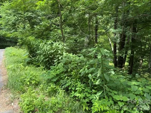 Lot 32 Toi Trail #32, Maggie Valley, NC 28751 - #2