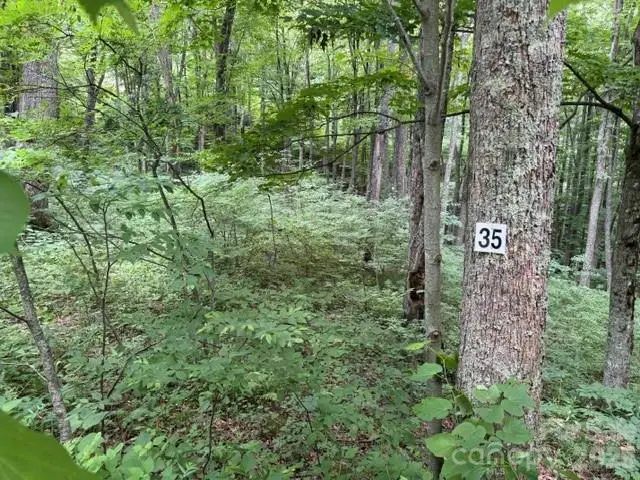 Lot 35 Odalu Trail #35, Maggie Valley, NC 28751 - #1