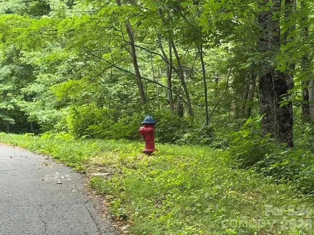 Lot 35 Odalu Trail #35, Maggie Valley, NC 28751 - #2