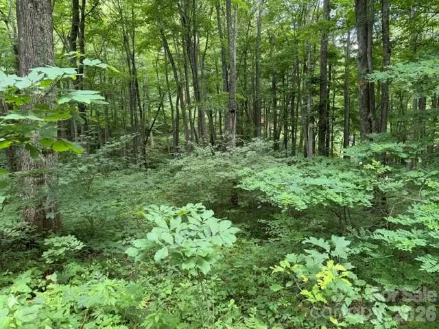 Lot 35 Odalu Trail #35, Maggie Valley, NC 28751 - #3