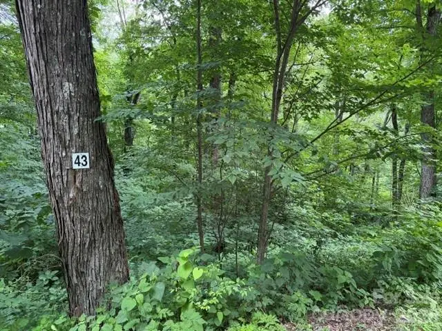 Lot 43 Gata Trail #43, Maggie Valley, NC 28751 - #1
