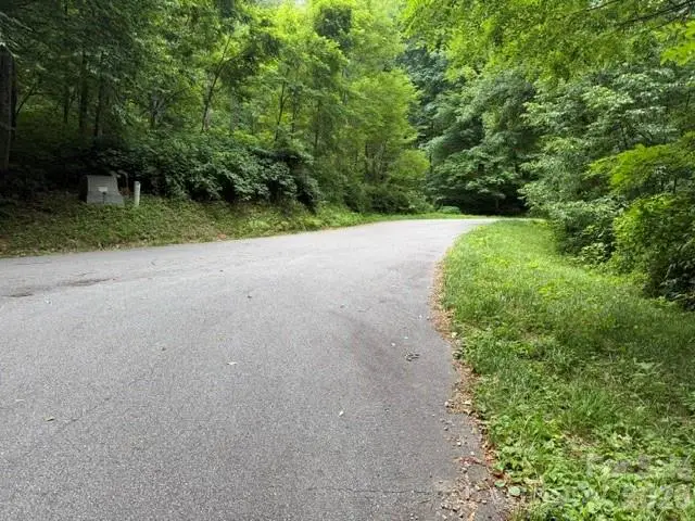 Lot 43 Gata Trail #43, Maggie Valley, NC 28751 - #3