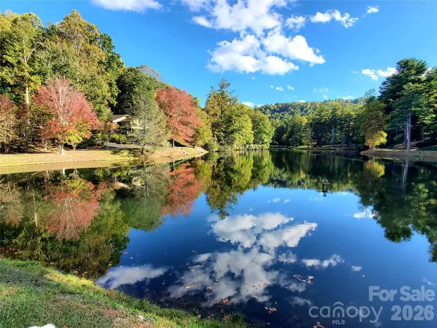 111 W Kindy Forest Drive, Hendersonville, NC 28739 - #2