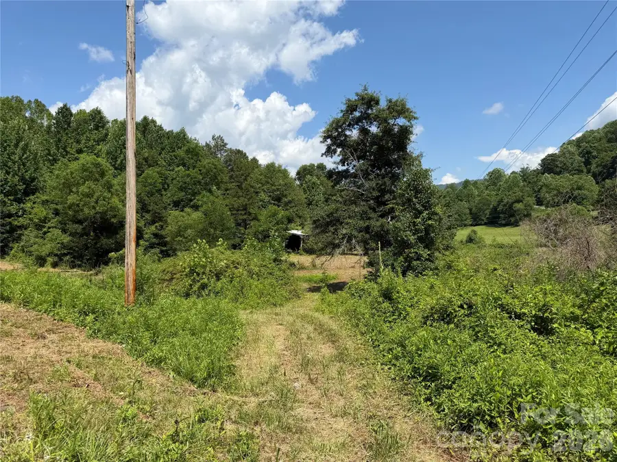 424 Iron Duff Road, Waynesville, NC 28785 - #3