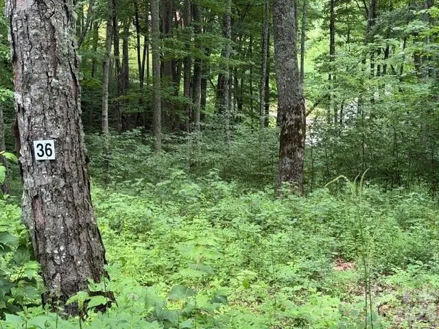 Lot 36 Odalu Trail #36, Maggie Valley, NC 28751 - #1