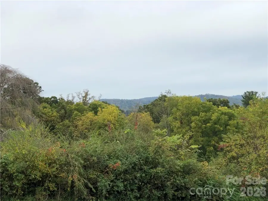 836 Burney Mountain Road, Fletcher, NC 28732 - #2