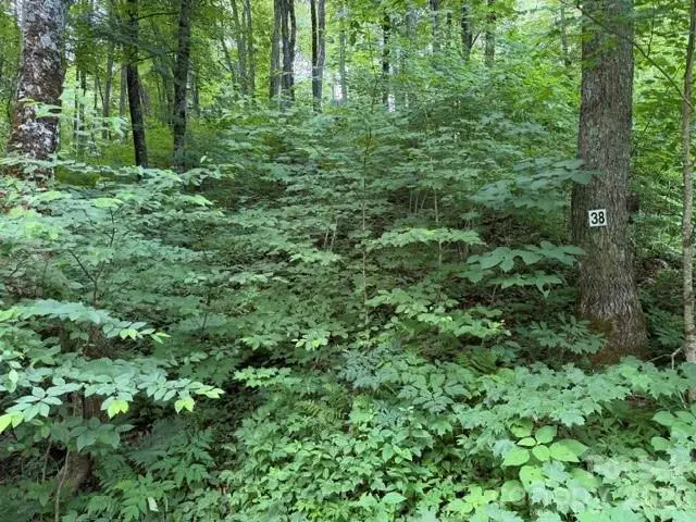 Lot 38 Yanasa Trail #38, Maggie Valley, NC 28751 - #1