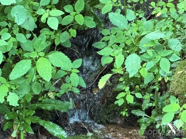Lot 38 Yanasa Trail #38, Maggie Valley, NC 28751 - #3