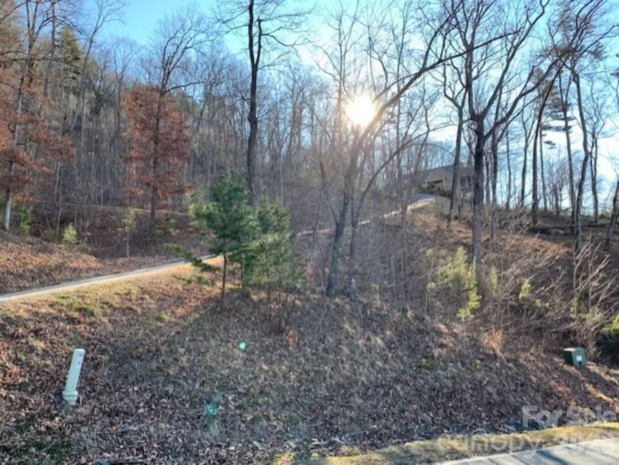 218 Rock Ledge Drive #218, Lake Lure, NC 28746 - #2