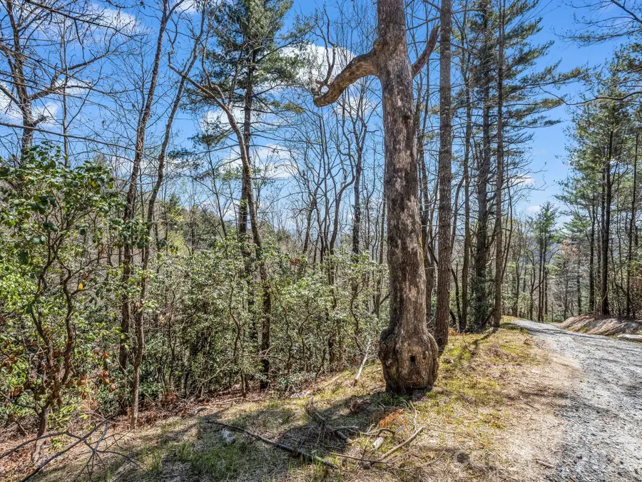 999 Bulling Creek Drive, Hendersonville, NC 28739 - #3