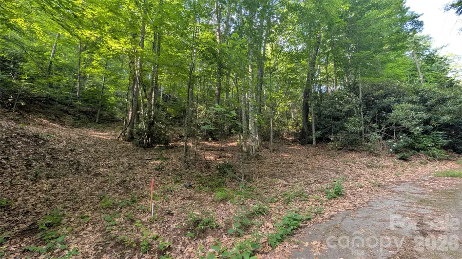 00 Chestnut Walk #3,4,5, Waynesville, NC 28786 - #2