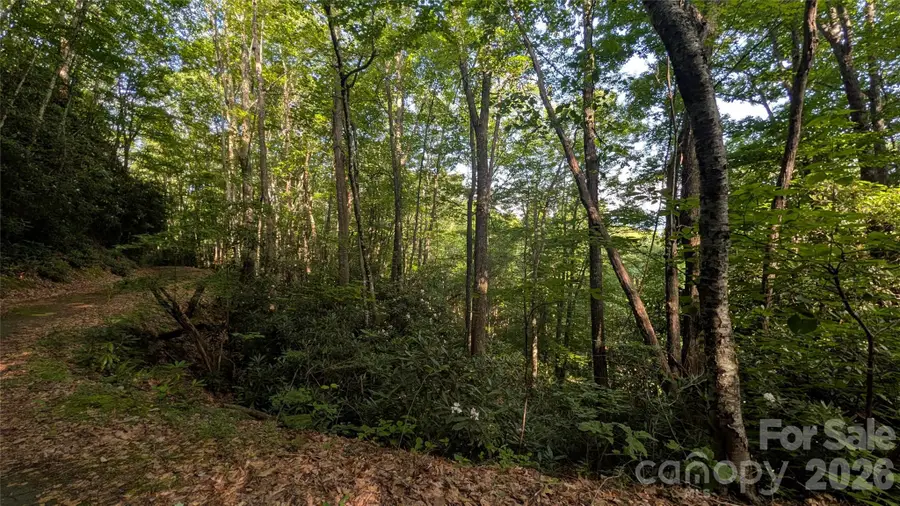 00 Chestnut Walk #6,7,8, Waynesville, NC 28786 - #3