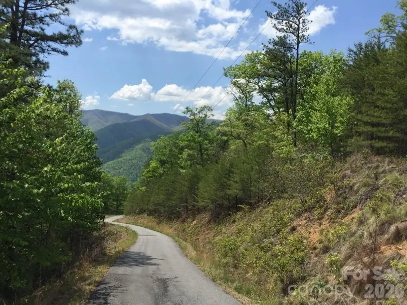 225 Lucerne Drive, Canton, NC 28716 - #2