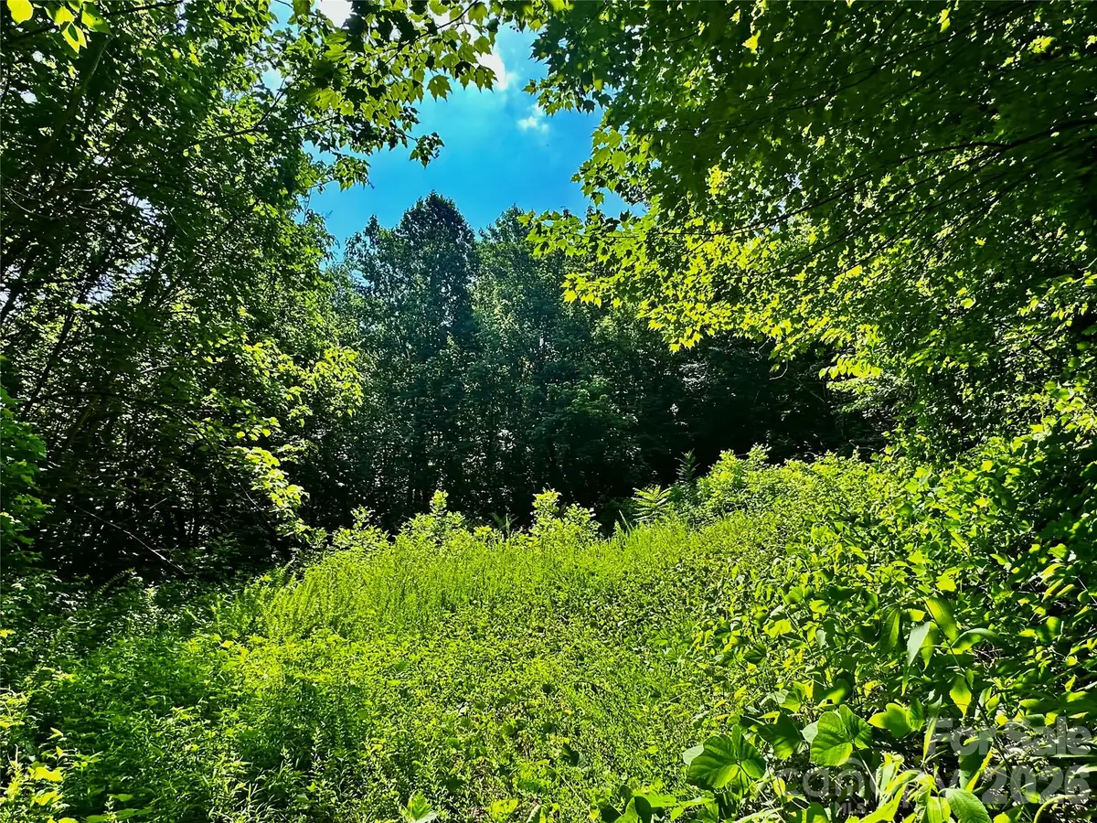 75 Fork Creek Road, Saluda, NC 28773 - #1