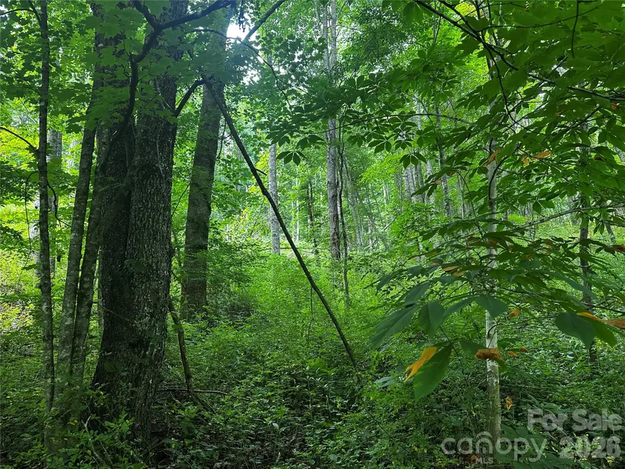 0 Green Creek Road, Bakersville, NC 28705 - #3