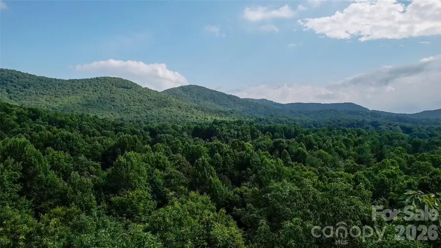 724 Streamside Drive, Arden, NC 28704 - #3