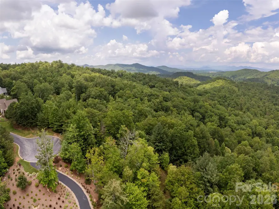 71 Yellow Wood Lane, Horse Shoe, NC 28742 - #3