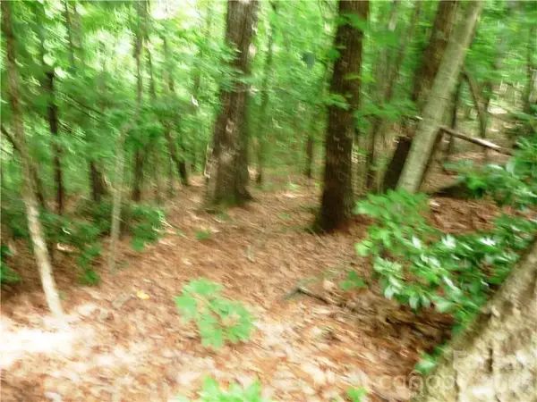 360 Kenmure Drive #4, Flat Rock, NC 28731