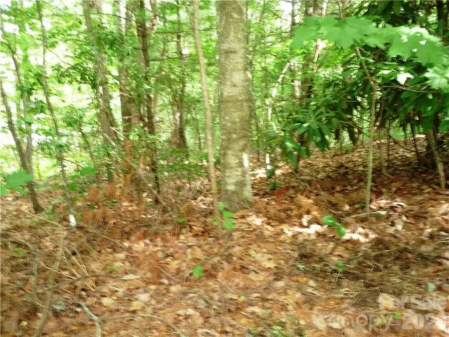 360 Kenmure Drive #4, Flat Rock, NC 28731 - #2