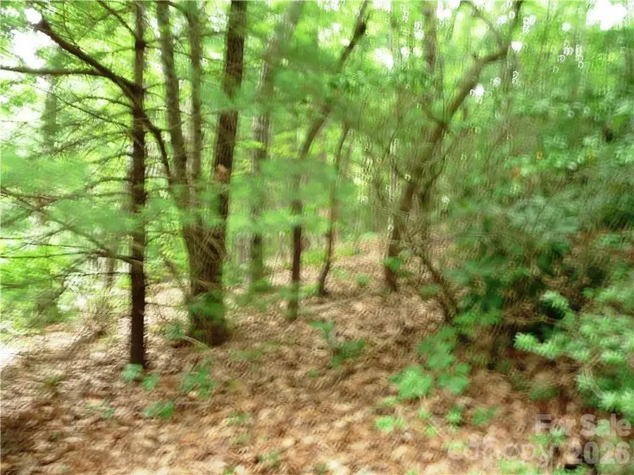 360 Kenmure Drive #4, Flat Rock, NC 28731 - #3
