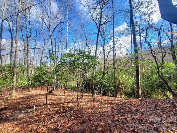 TBD Skye Drive #803a & 803b, Pisgah Forest, NC 28768