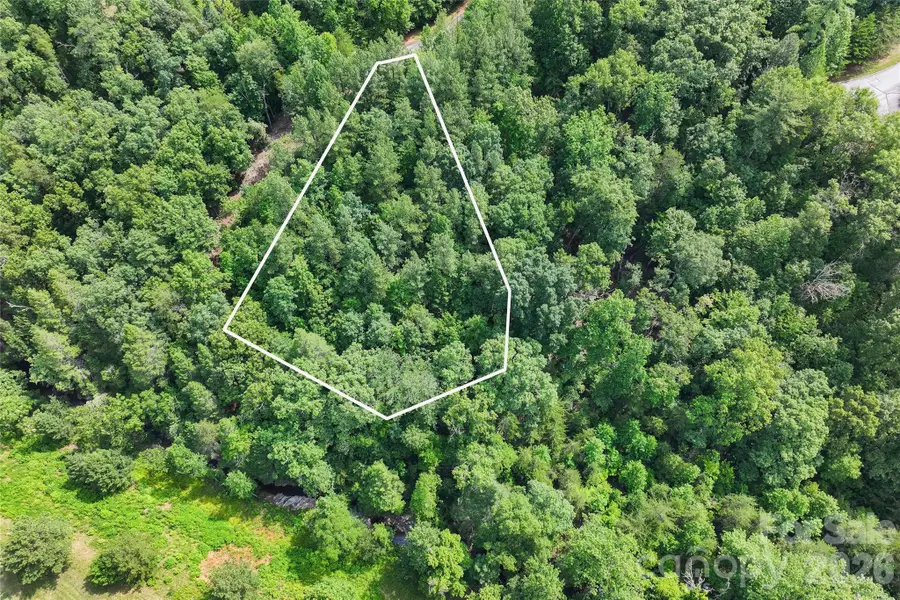 Lot 24 Monteith Place, Mill Spring, NC 28756 - #2